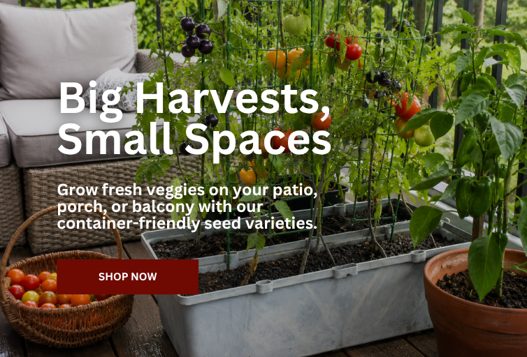 Container Garden